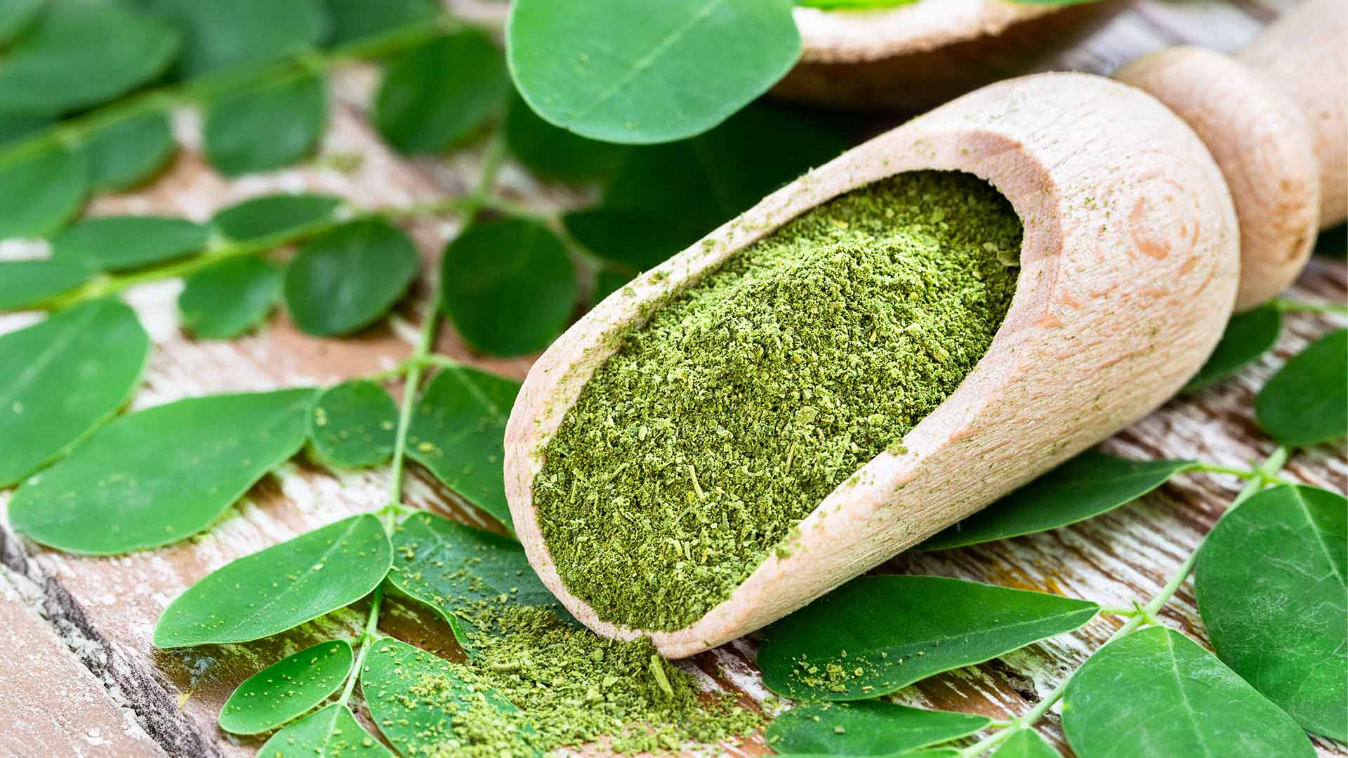 Organic moringa powder with fresh moringa leaves. Moringa powder helps in weight loss by boosting metabolism and supporting digestion